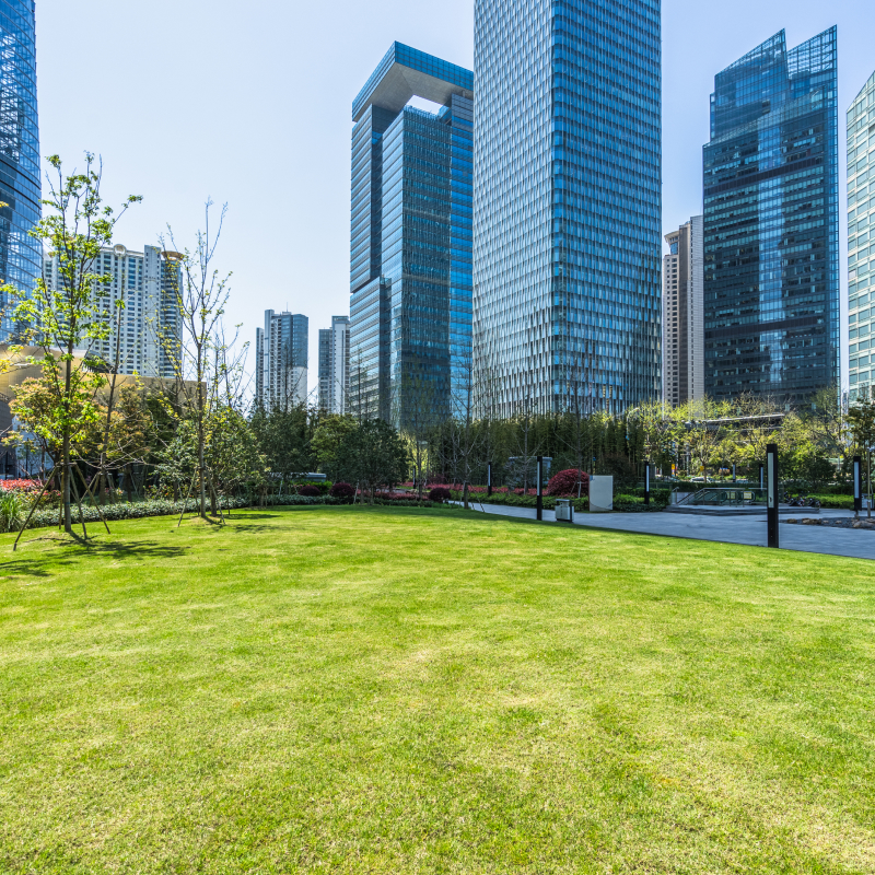 Shopping Mall Platform